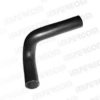 FIAT 4300053 Radiator Hose